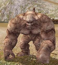 Metin2 Patron - Kaya Maymunu