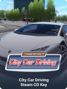 City Car Driving Steam Key