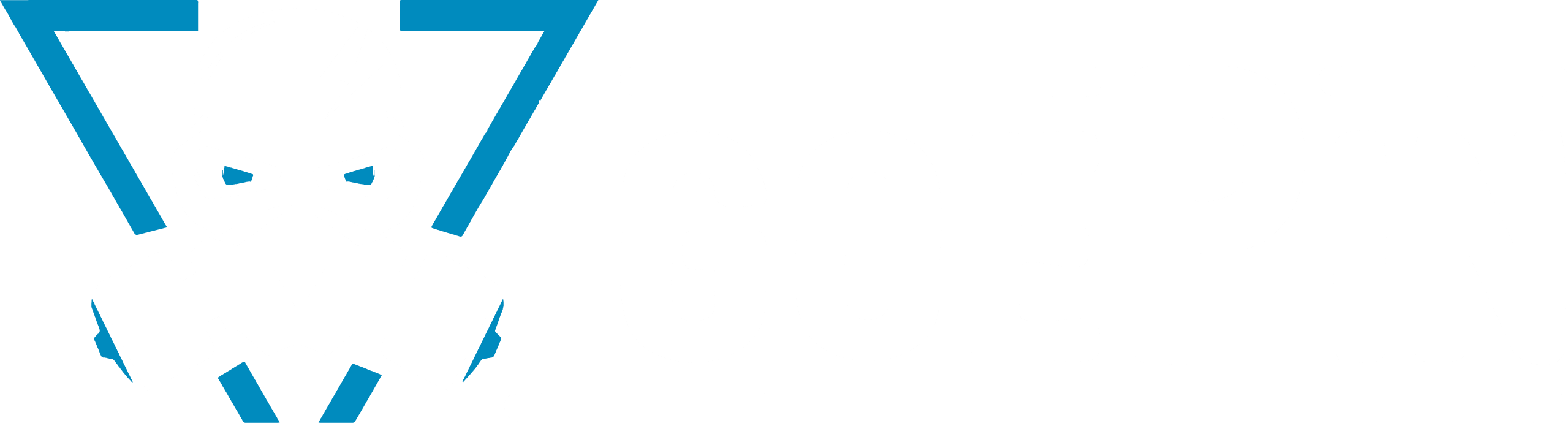 Goepin Beyaz Logo